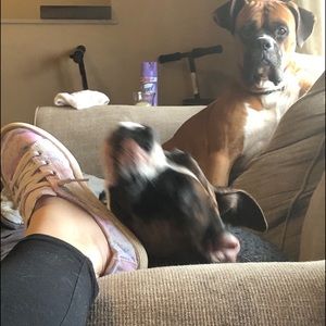 Meet your Posher, Amber